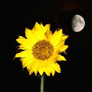 FFC Ketsch Hansdieter Gehres 02